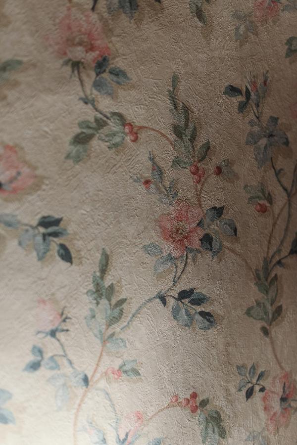 Da Mario In Florence Guesthouse ภายนอก รูปภาพ